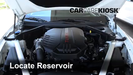 Check Power Steering Level: 2020 Kia Stinger GT2 3.3L V6 Turbo